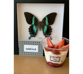 Tiramisu fruits rouges