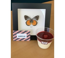 Panna Cotta à la vanille,...
